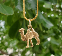 Load image into Gallery viewer, Bactrian Camel Necklace
